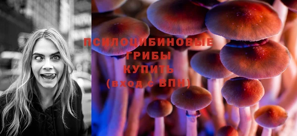 PSILOCYBIN Волоколамск