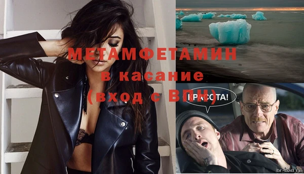 сатива Волосово