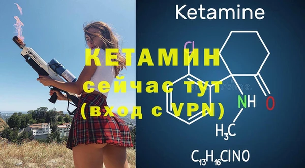 сатива Волосово